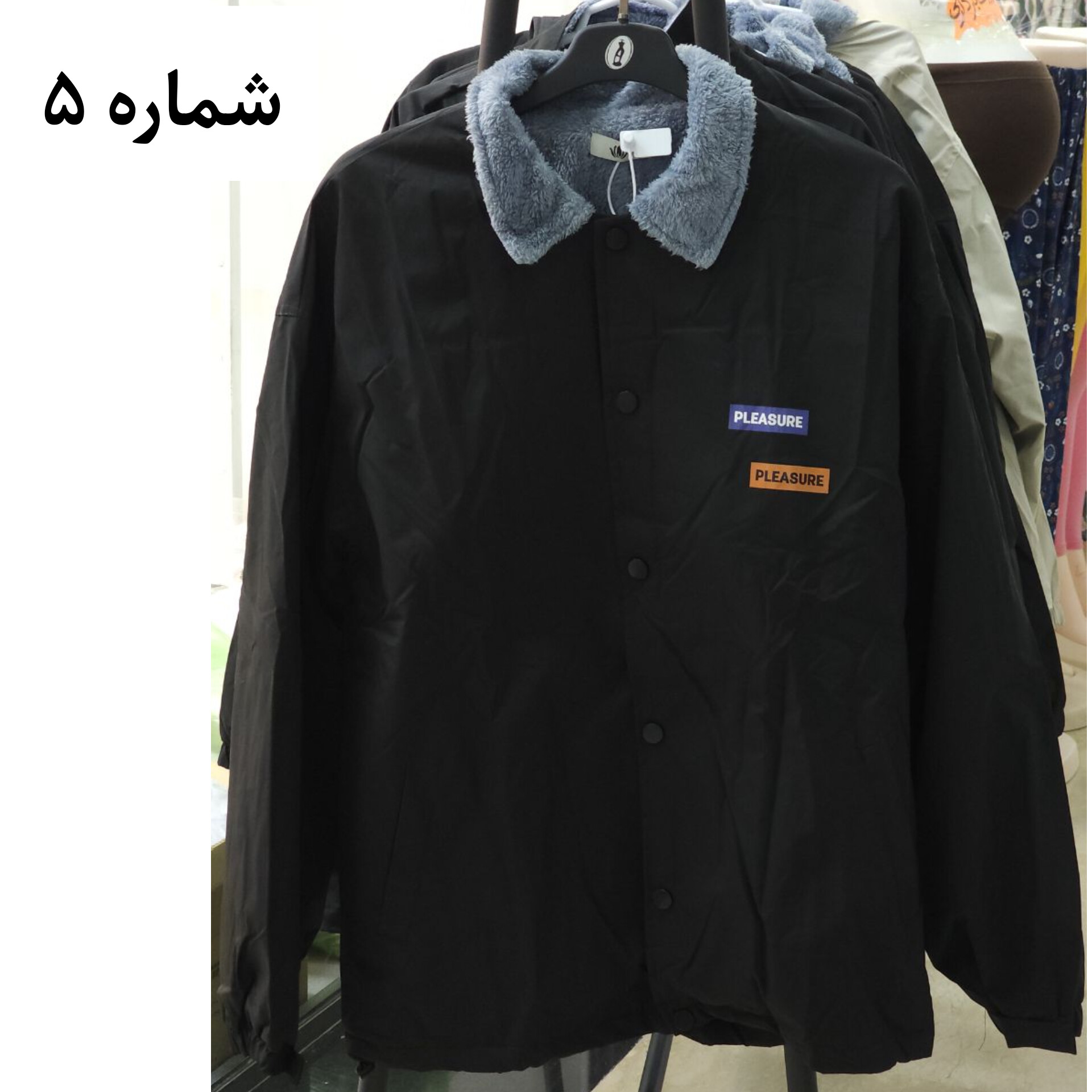 بارونی داخل خز