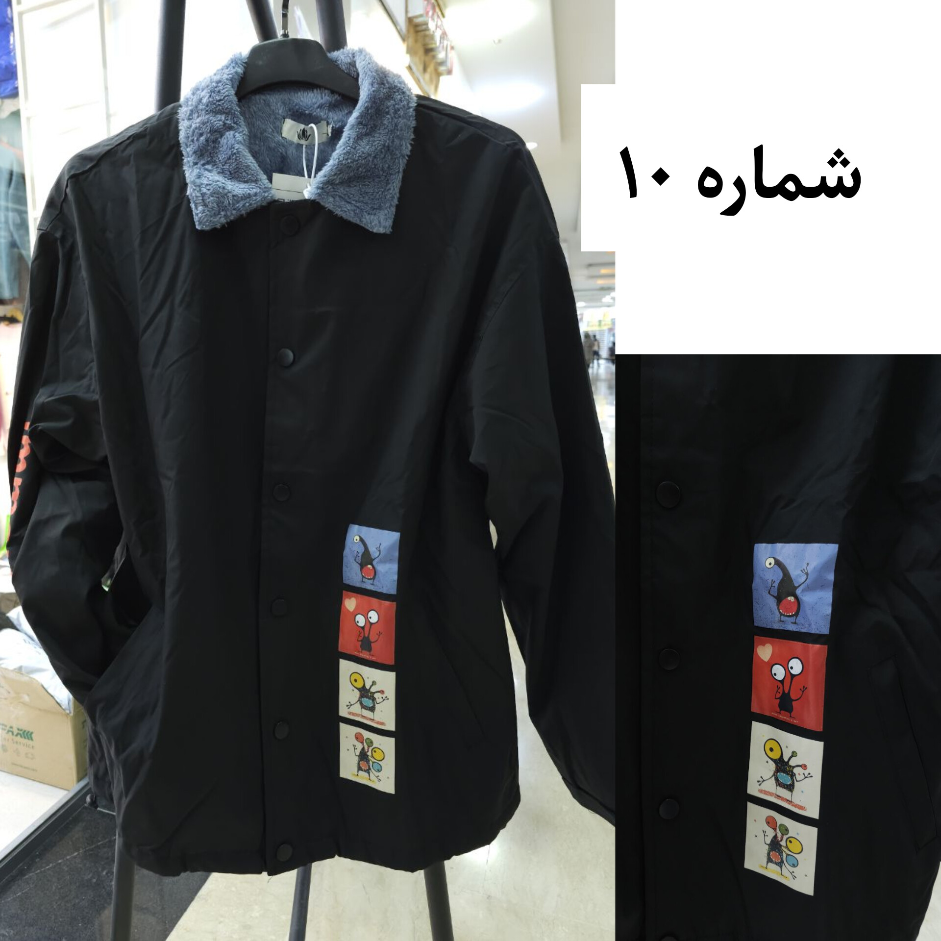 بارونی داخل خز