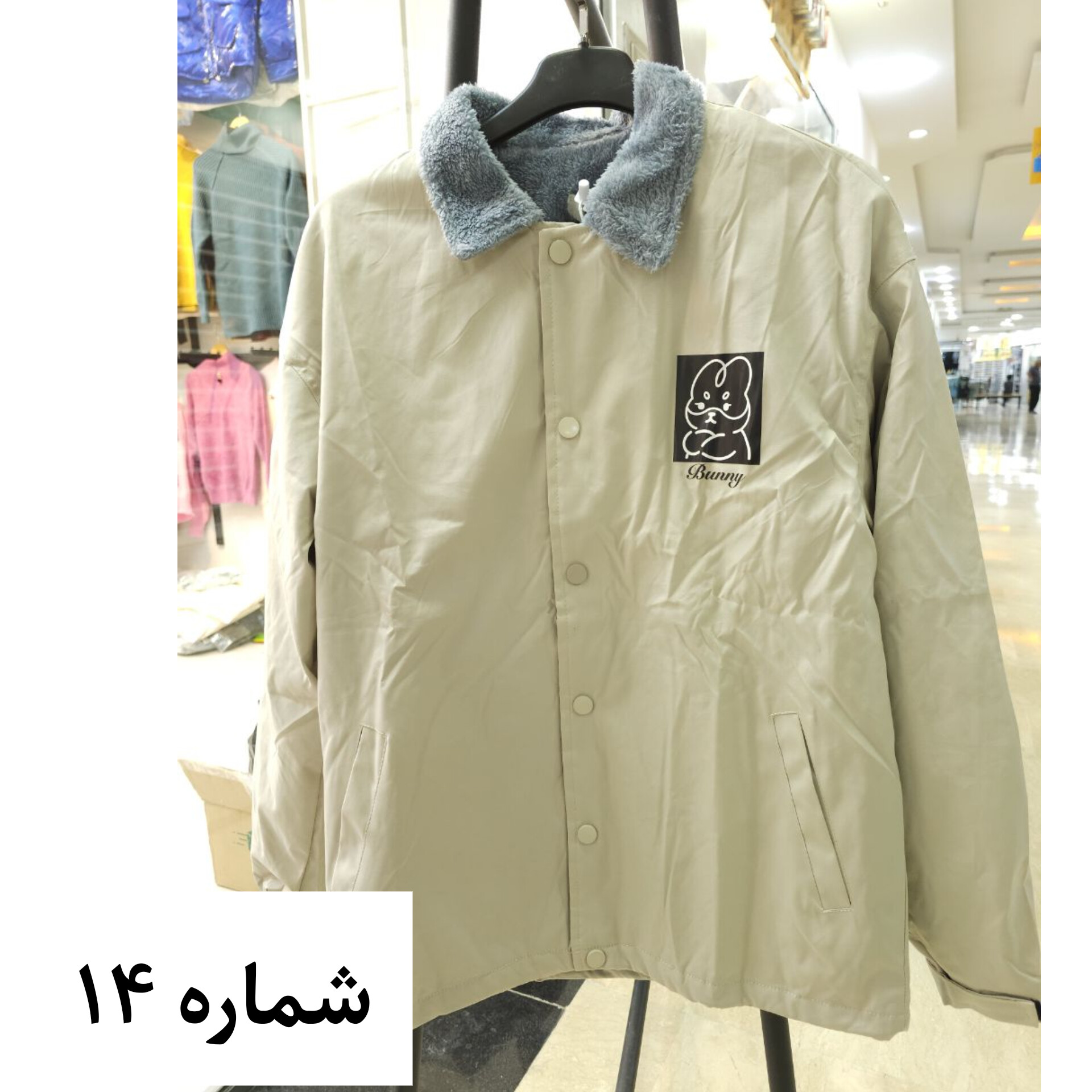 بارونی داخل خز