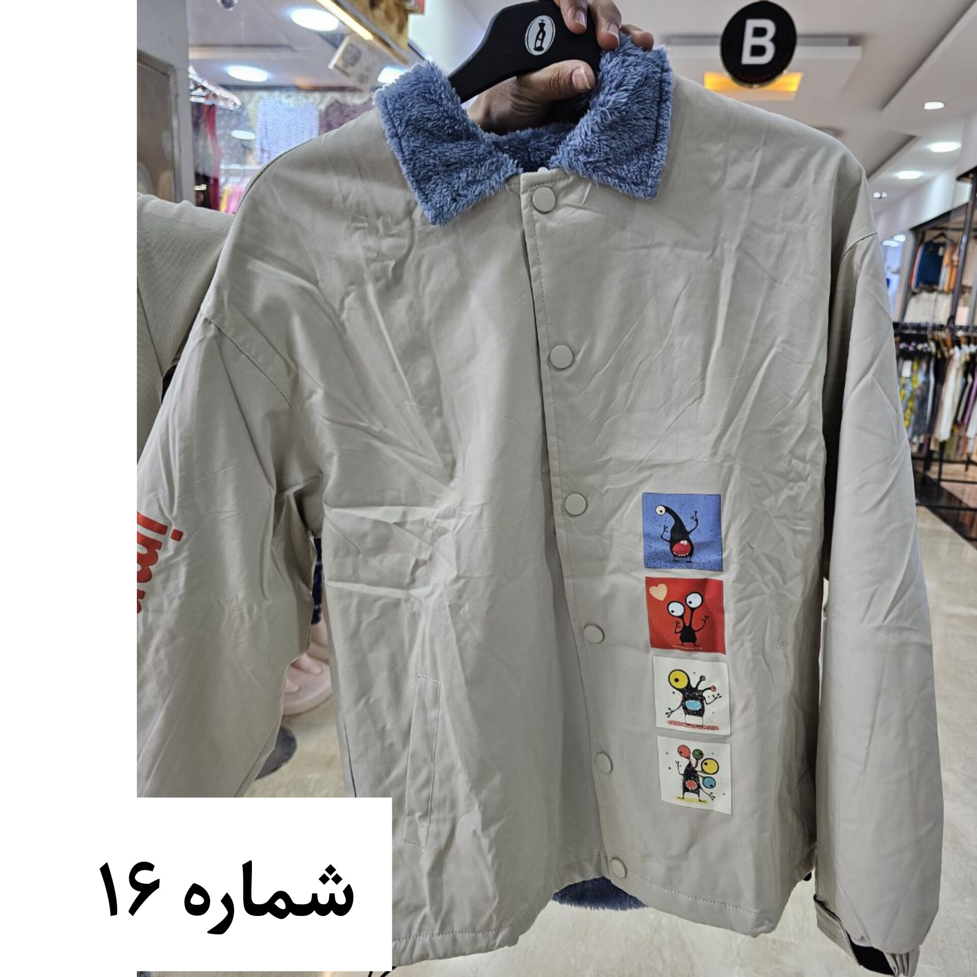 بارونی داخل خز